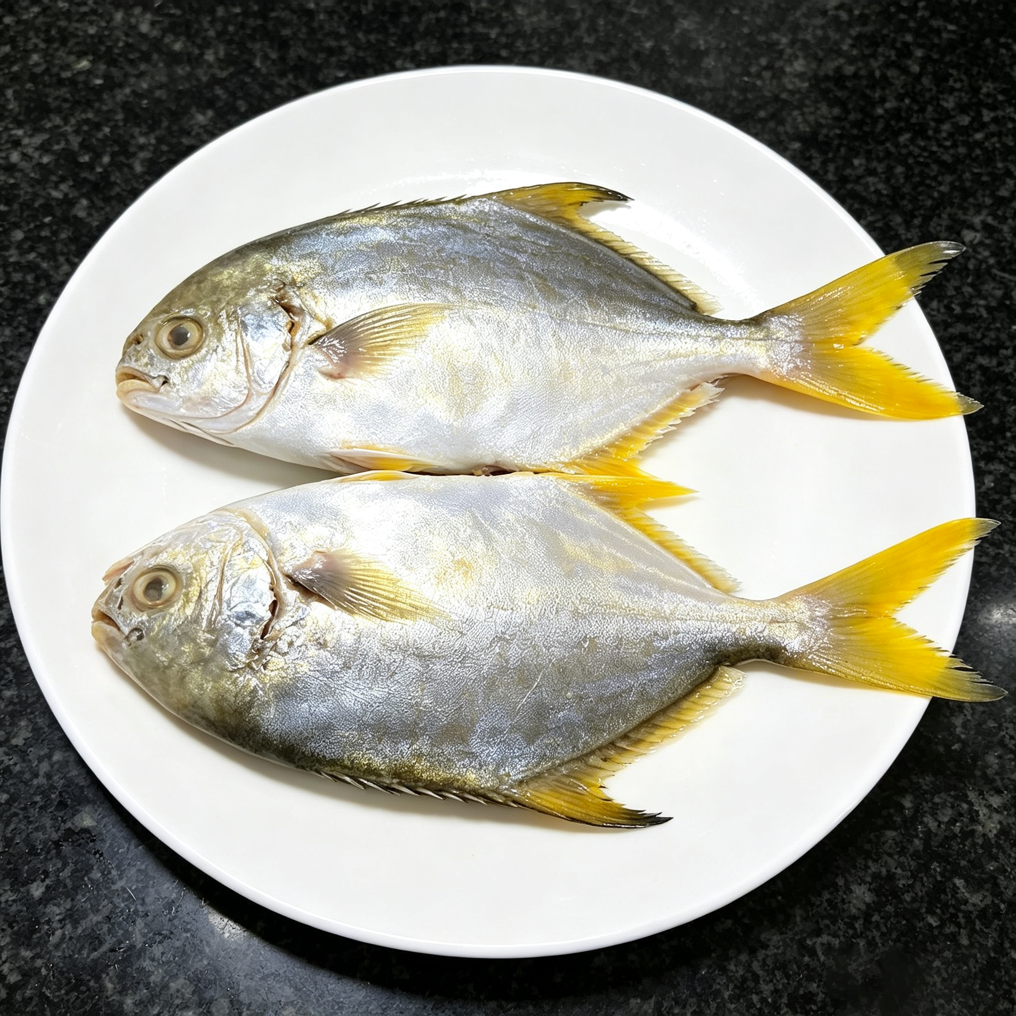 Yellowfin Bream